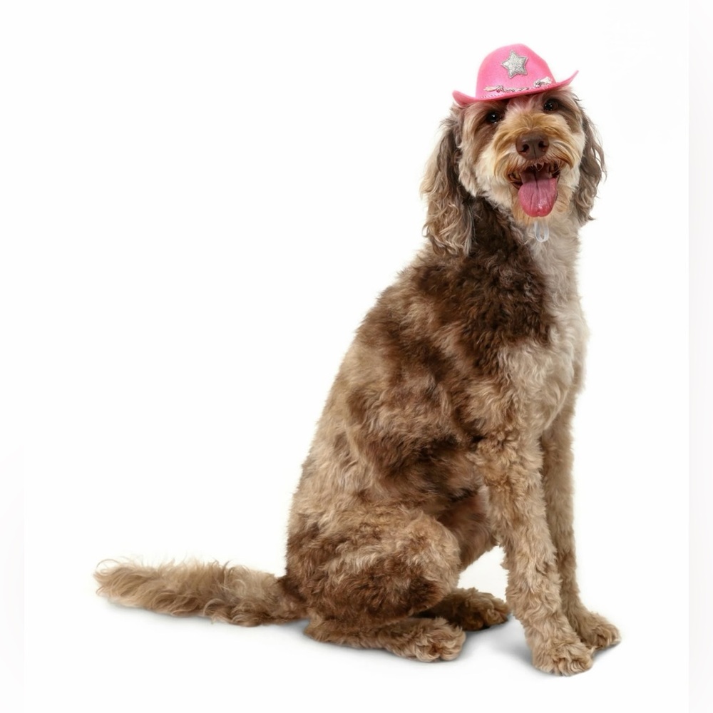 NWT - Cowboy Hat for Dogs & Cats - Pink